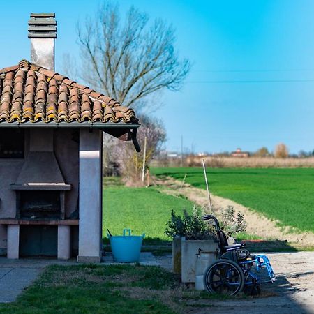 Agriturismo Garzole Castelfranco Emilia Kültér fotó
